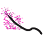 Cherry blossom branch