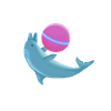 Dolphin Whisperer Player Career