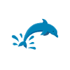 Dolphin Lover Jumping Water