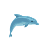 Life is better with dolphins