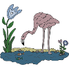 Flamingo im Wasser