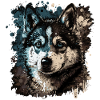 Husky Dog