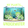Aquascaping Enthusiast Underwater Gardening