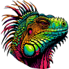 Iguane