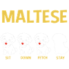 Maltese Dog