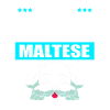 Maltese