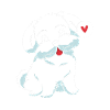 Maltese Dog