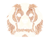 King Charles Cavalier Fingerprint