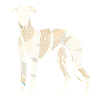 Greyhound Greyhound Fingerprint