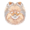 Pomeranian Fingerprint