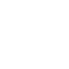 Kamera mit Krone Icon/Logo