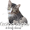 Schlafshirt gute Nacht good night