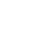 Truck Transporter LKW