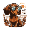 Cute dachshund with sunglasses
