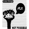 OSTRICH FLY BLK