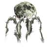 Babouin Singe Lune Hurlante