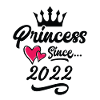 2022 Princess Birthday
