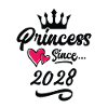 2028 Princess Birthday