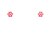 Cadeaux Border Collie