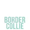 Border Collie Gifts