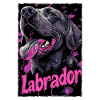 Chien Labrador