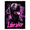 Chien Labrador