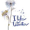 Fleurs de glace