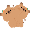 Capybara Couple