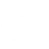 Graffiti d'une rose blanche