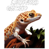 GECKO LÉOPARD
