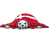 HYGGELIG - Phoque - Danemark -w