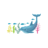 I swam with dolphins