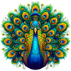 Peacock
