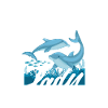 Crazy Dolphin Lady