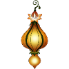 Lantern Fruit