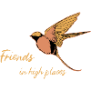 Birds - Friends in high places