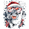 Labrador Black Christmas
