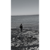 Solitude by the Shore