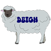 Deich