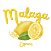 Malaga - Spain - Andalusia - Travel - Holidays