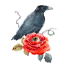 Raven,Flower
