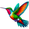 Hummingbird