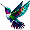 Hummingbird
