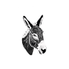 Oncle Fmilie Grand-oncle Oncle