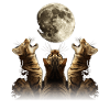 Chat du Bengale Lune Hurlante