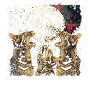 Chat du Bengale Lune Hurlante