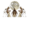 Bernese Mountain Dog Howling Moon