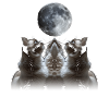 Birman Cat Howling Moon