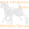 Trotter trotting race