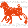 Course de trot trotteur